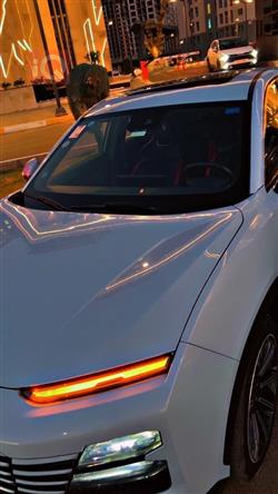 جيتور داشينج